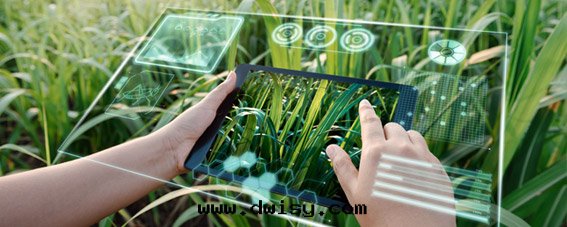 農场(chǎng)管(guǎn)家(jiā)