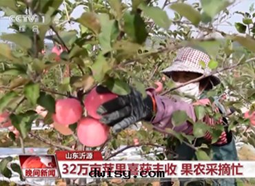 碩物(wù)天(tiān)成(chéng) 新(xīn)聞