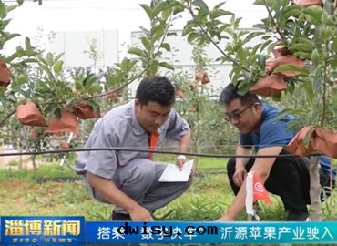 碩物(wù)天(tiān)成(chéng) 新(xīn)聞